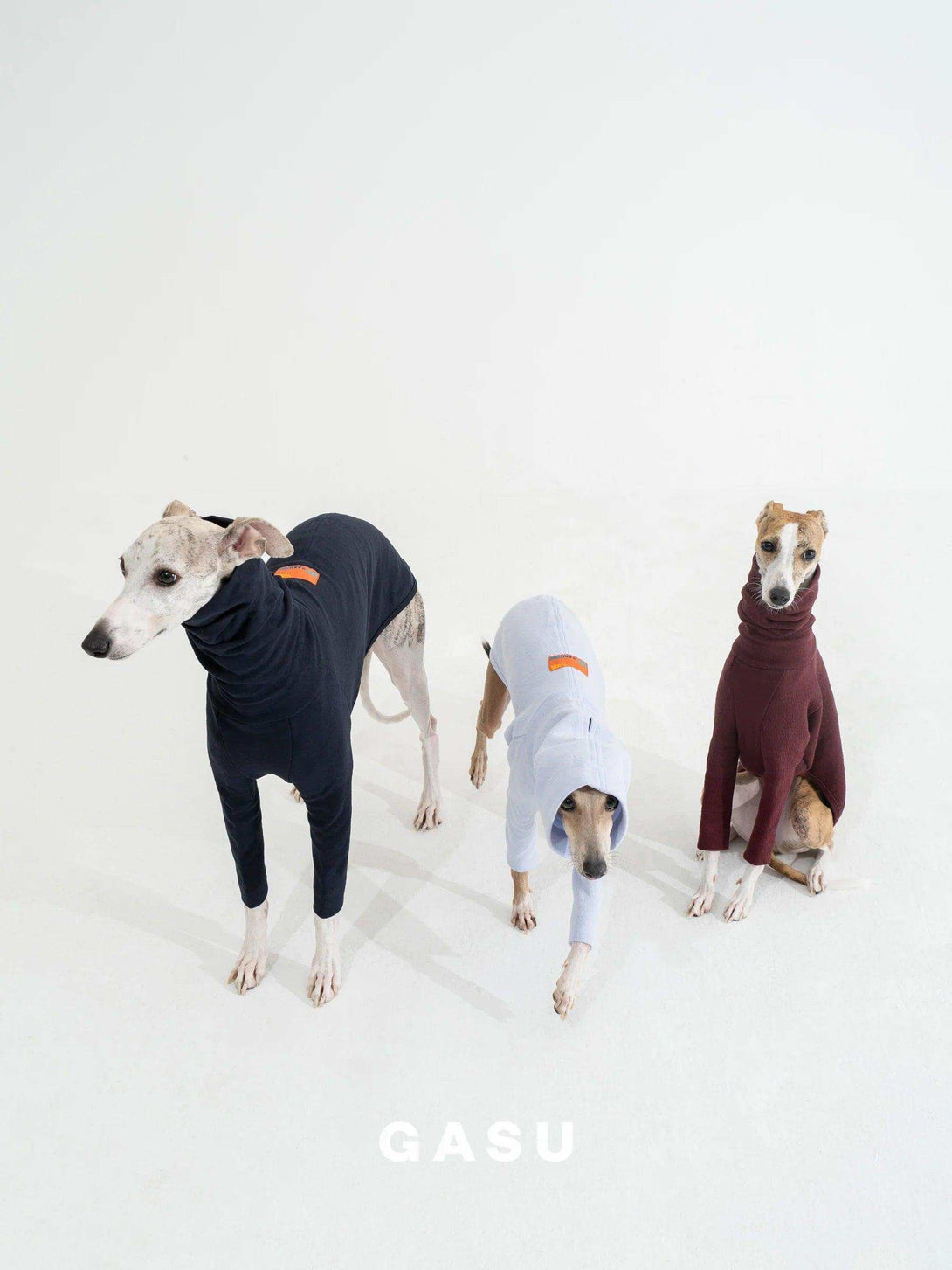 2-Leg Fit Cotton Dog Pullover