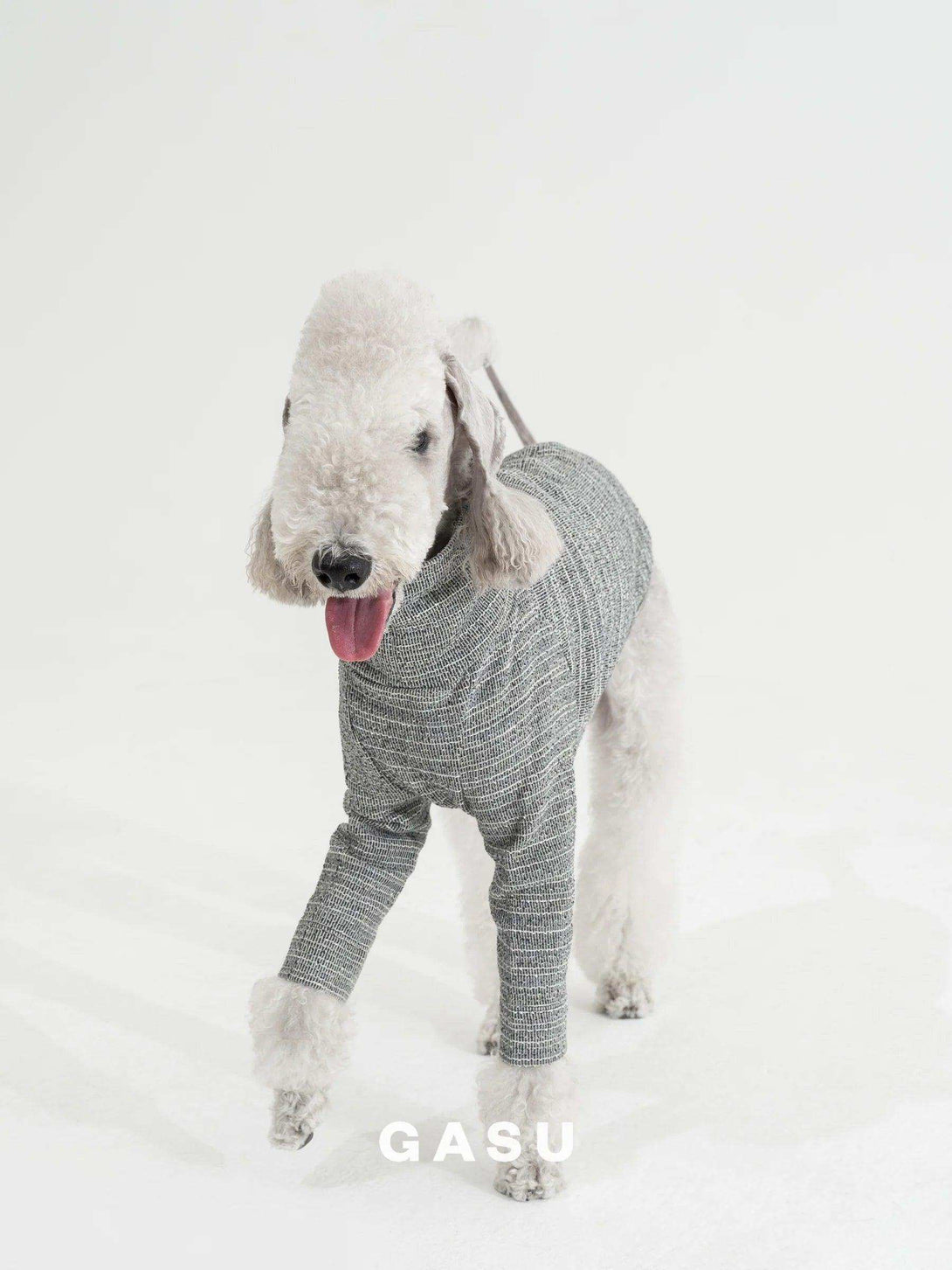 2-Leg Fit Cotton Dog Pullover