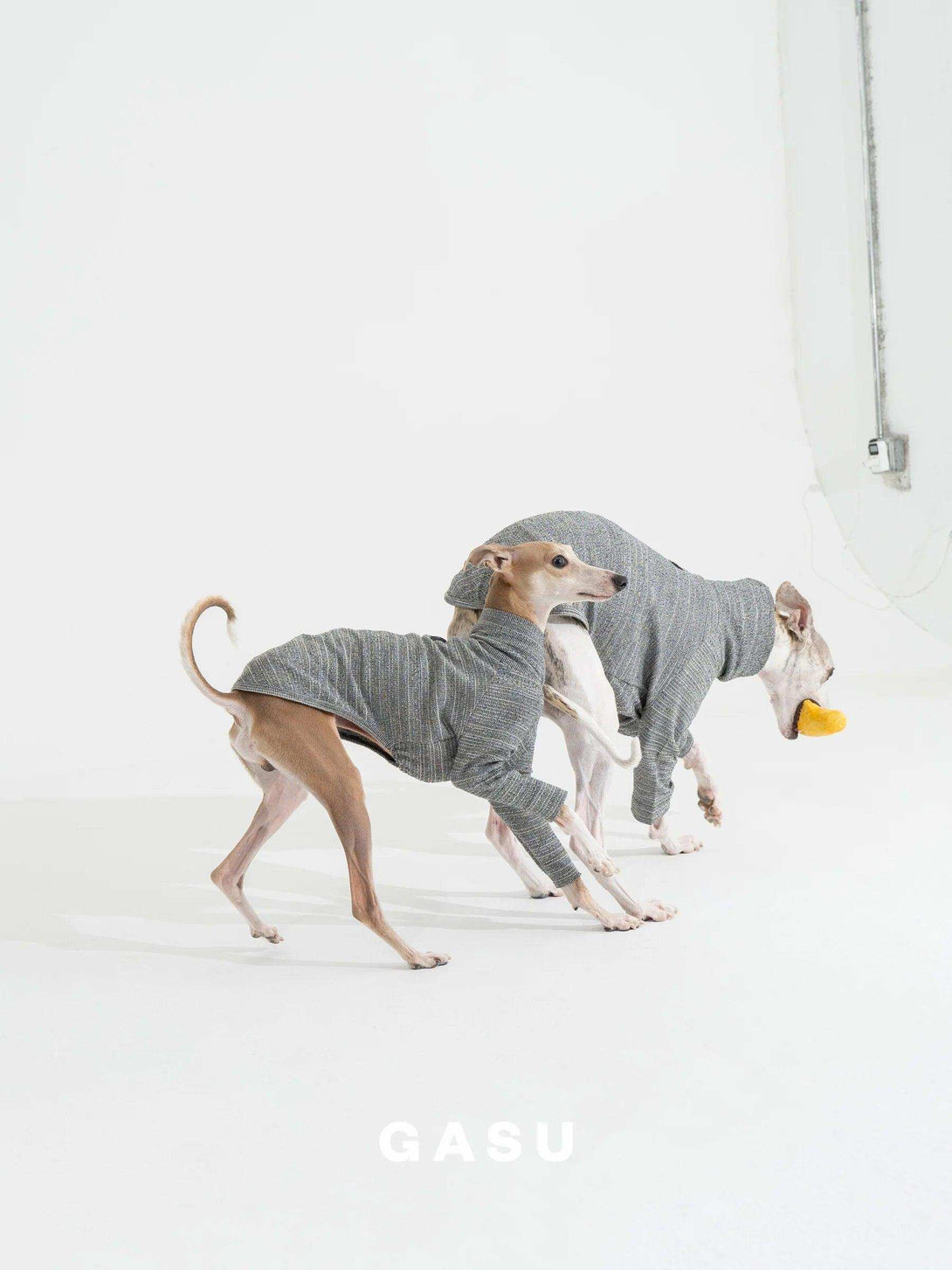 2-Leg Fit Cotton Dog Pullover