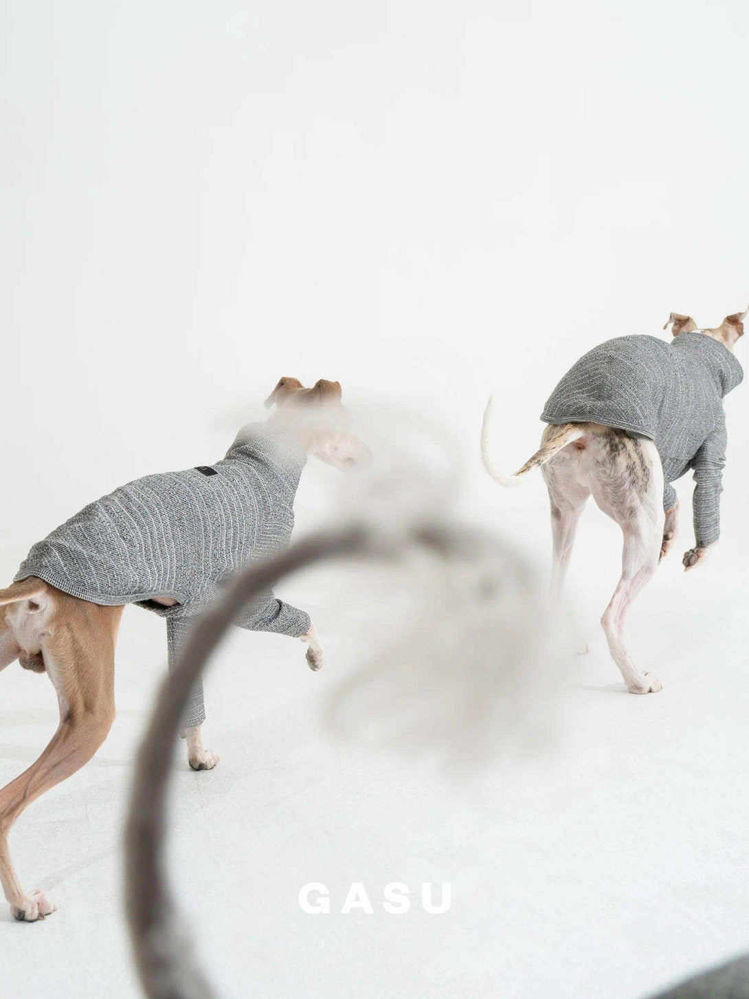 2-Leg Fit Cotton Dog Pullover