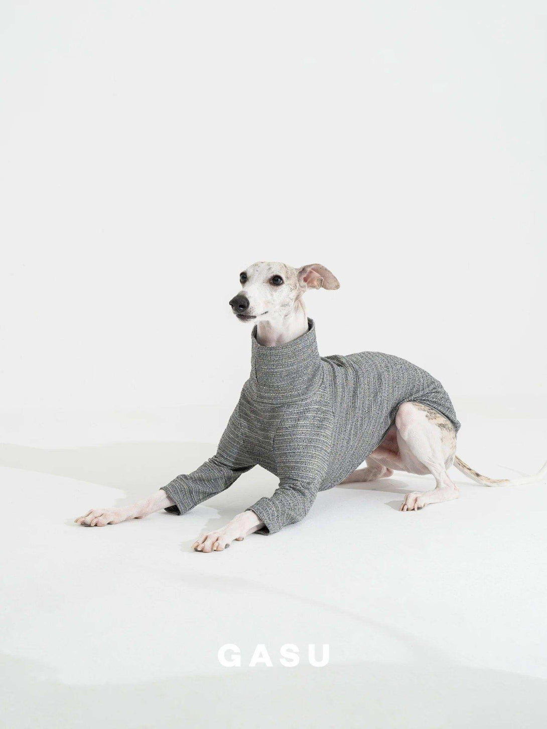 2-Leg Fit Cotton Dog Pullover