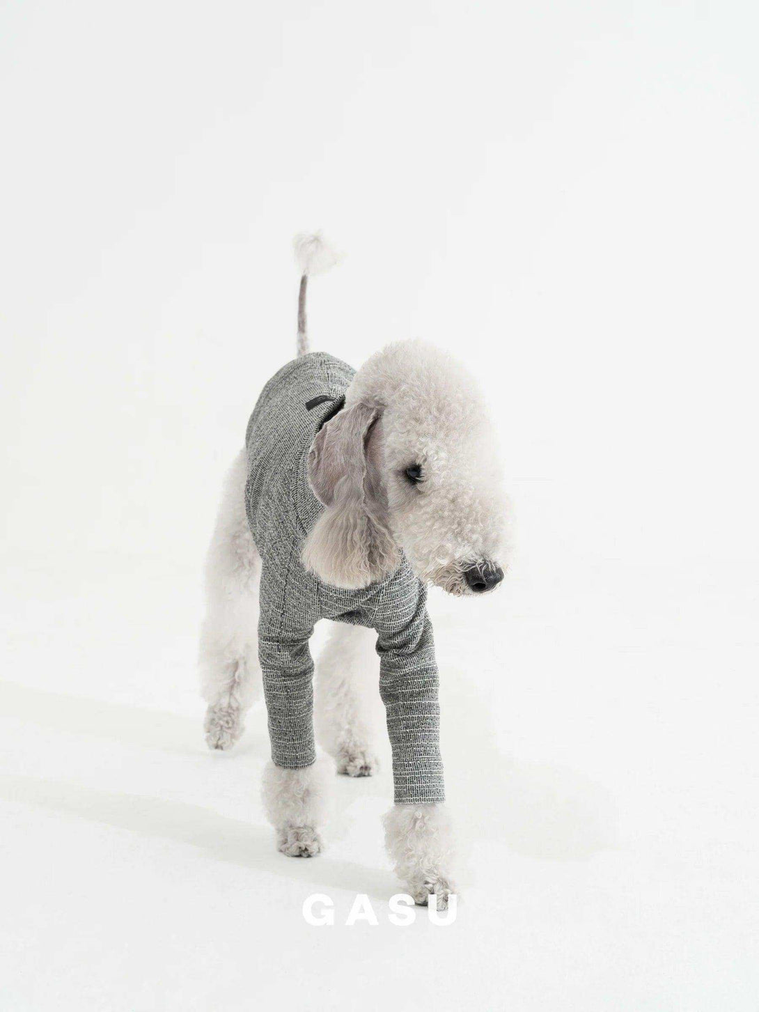 2-Leg Fit Cotton Dog Pullover