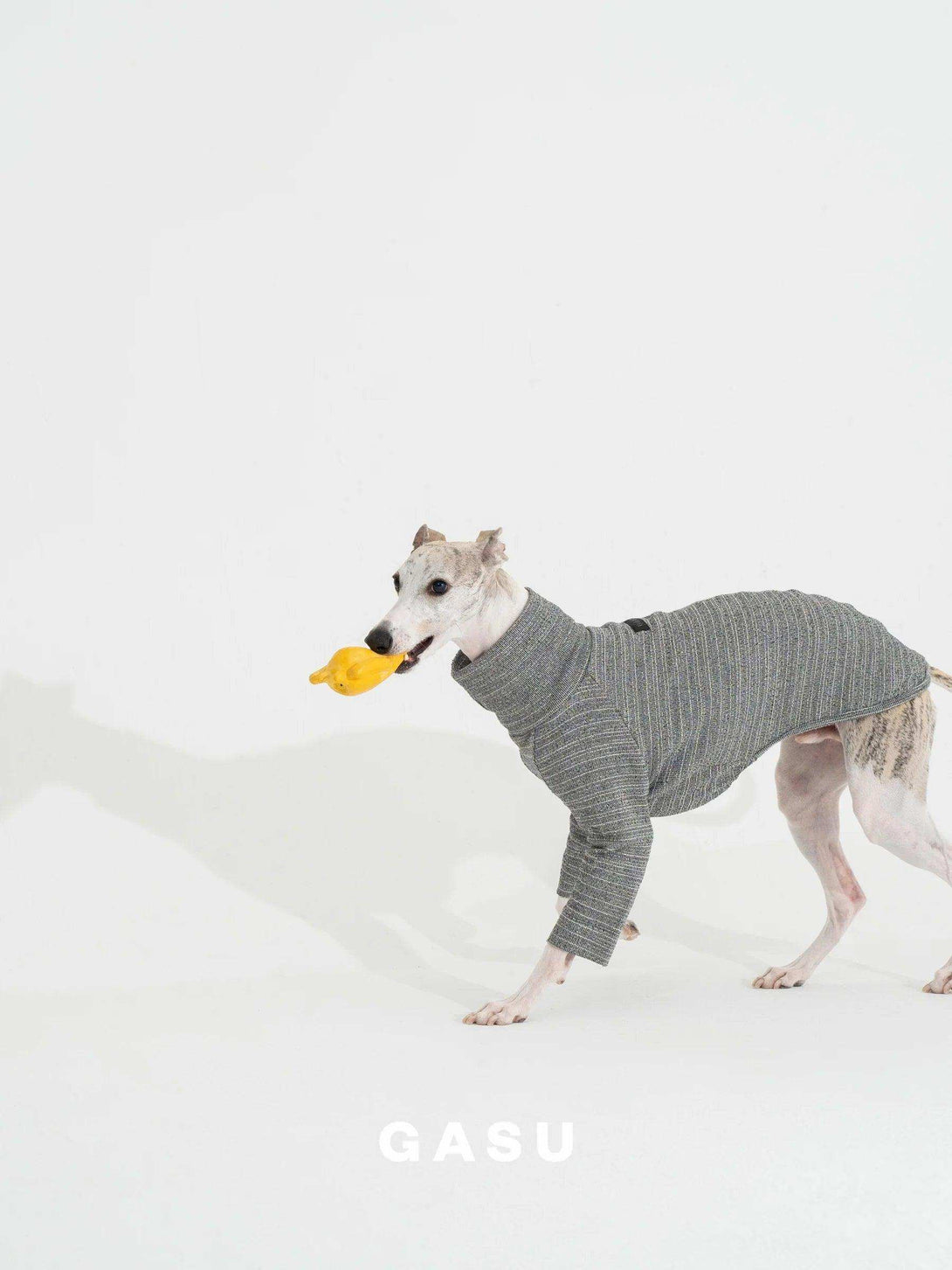 2-Leg Fit Cotton Dog Pullover