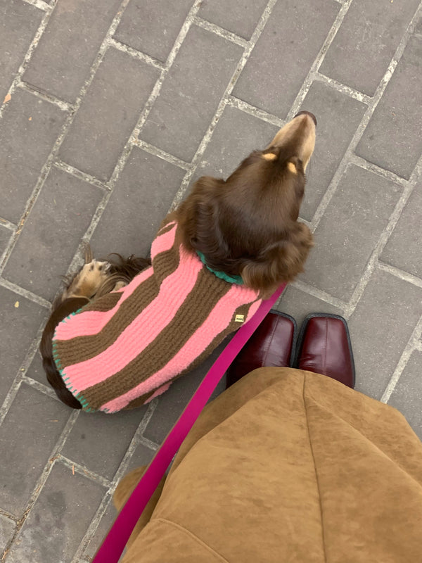 Handcrafted Cashmere Colour-Block Pet Sweater