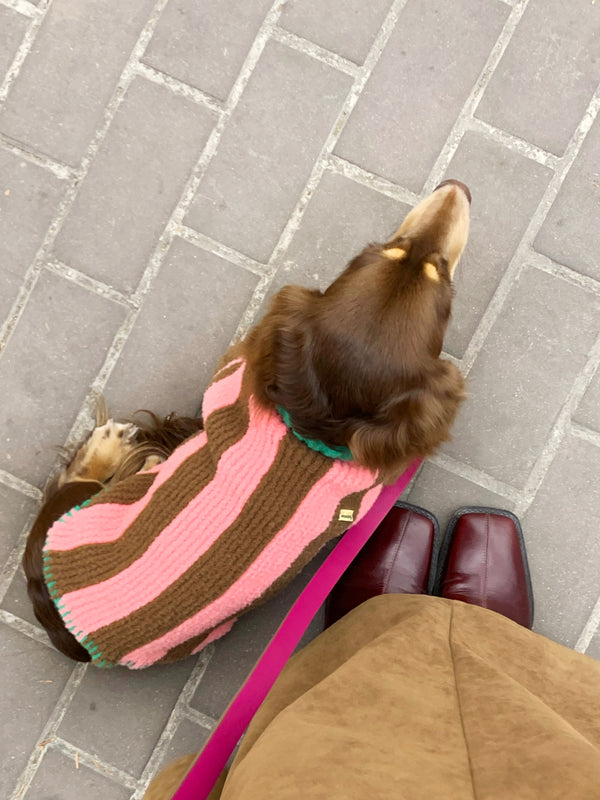 Handcrafted Cashmere Colour-Block Pet Sweater