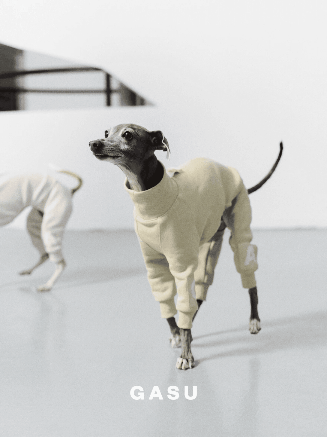 4-Leg Cotton Dog Jumpsuit