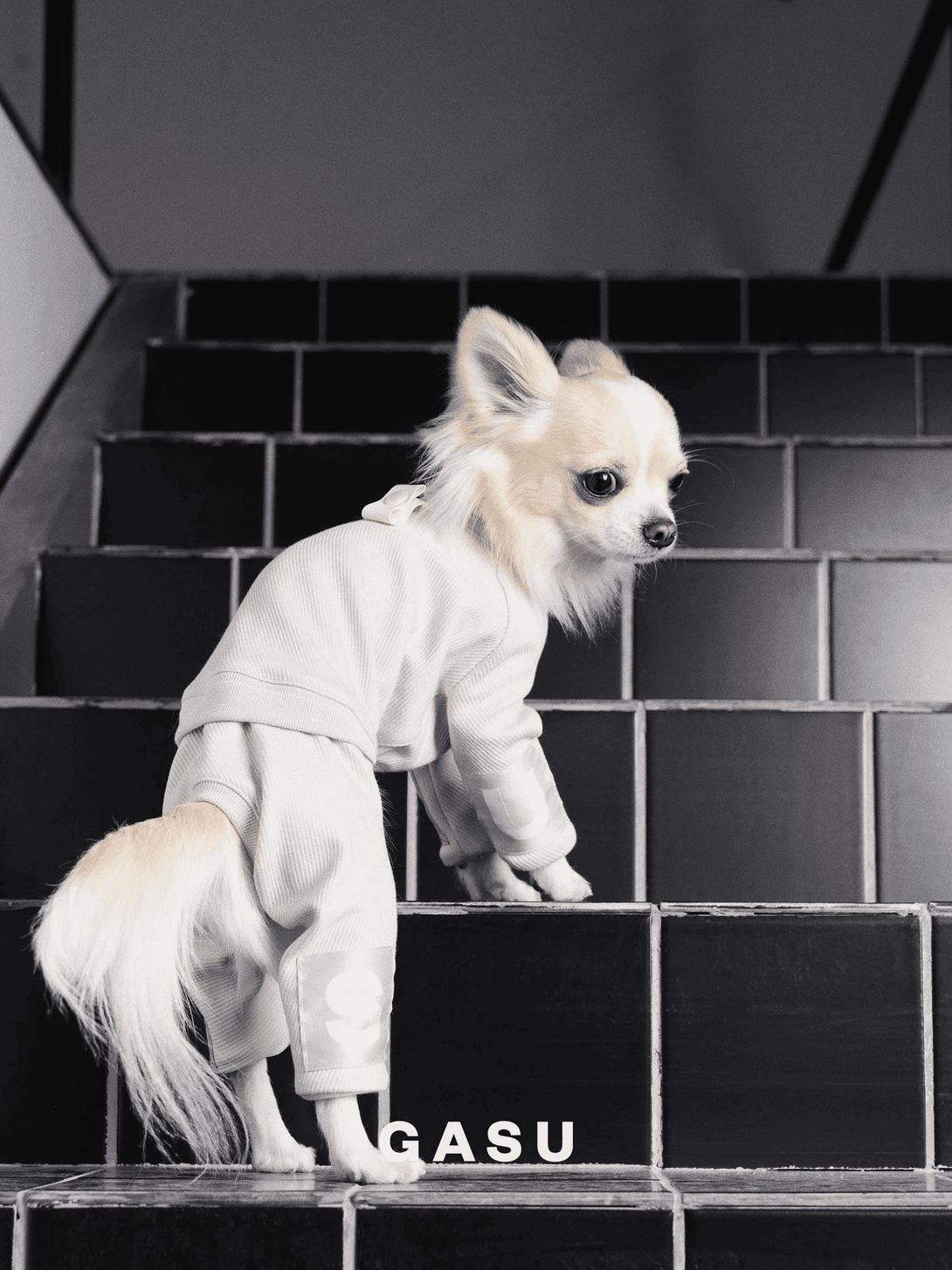 4-Leg Cotton Dog Jumpsuit