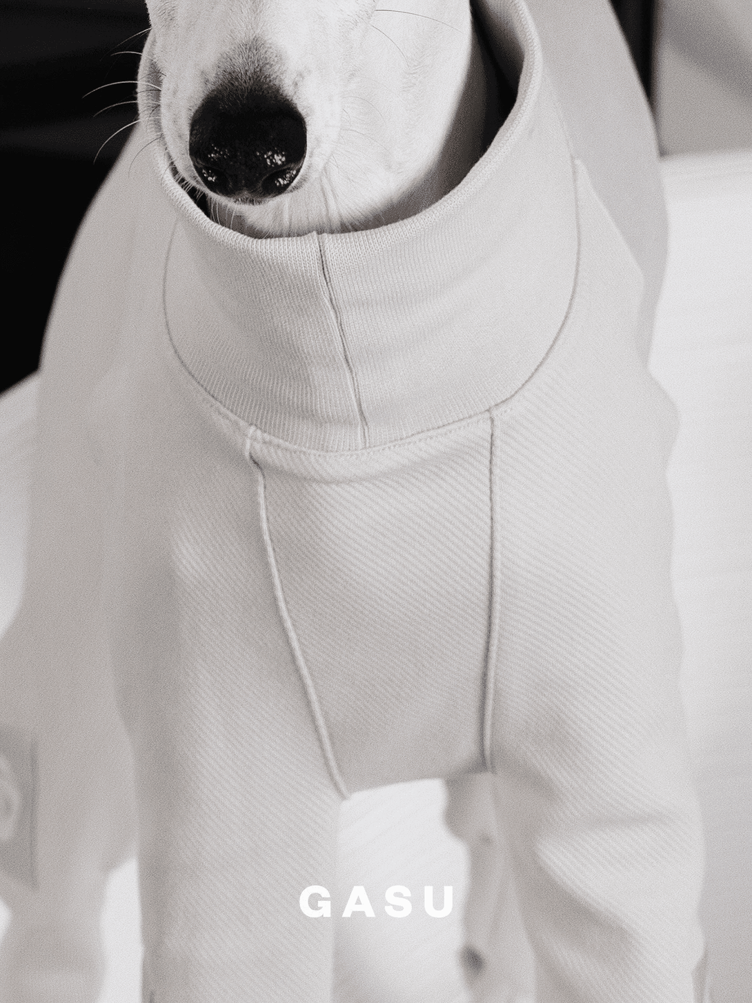 4-Leg Cotton Dog Jumpsuit