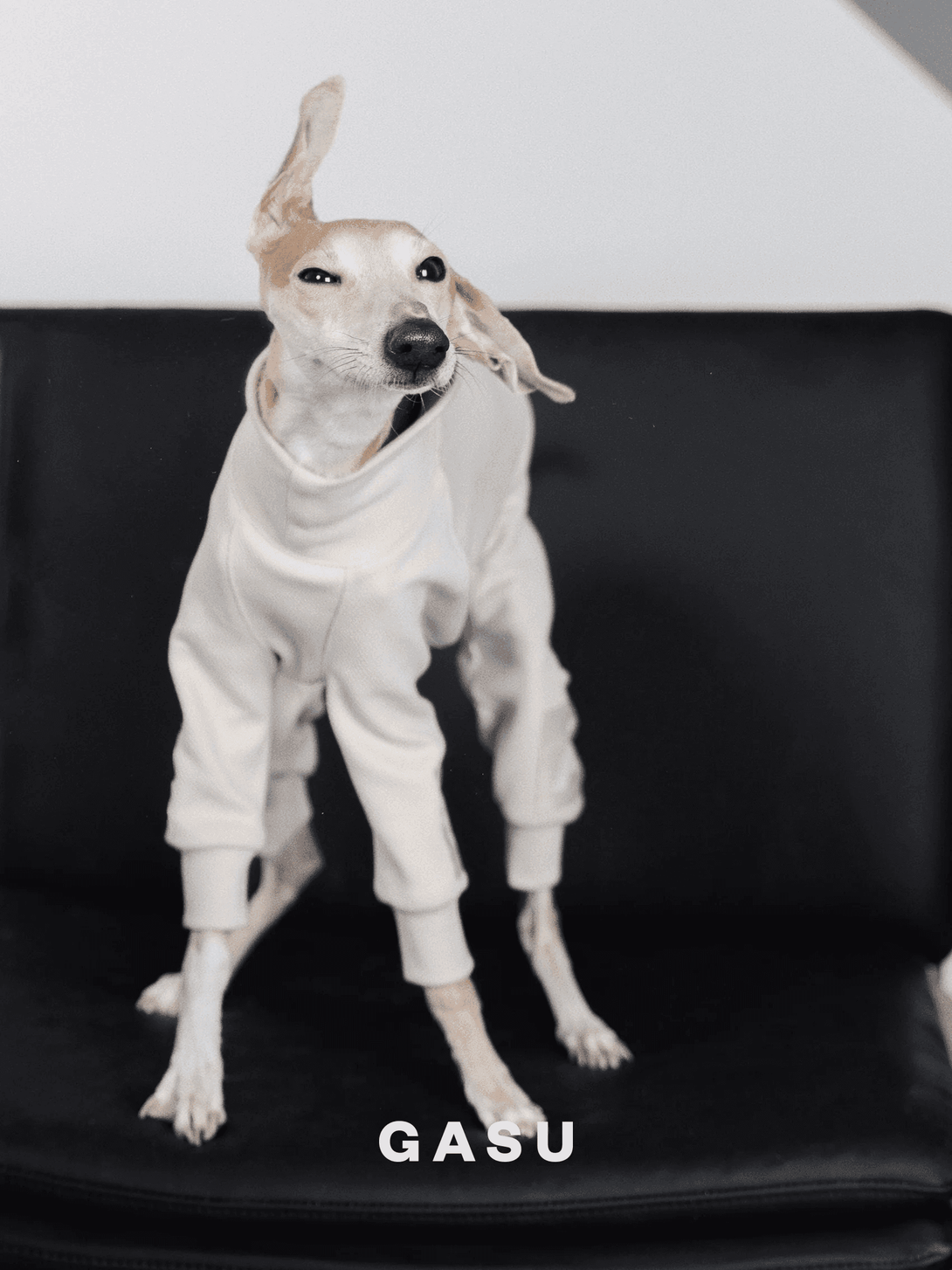 4-Leg Cotton Dog Jumpsuit