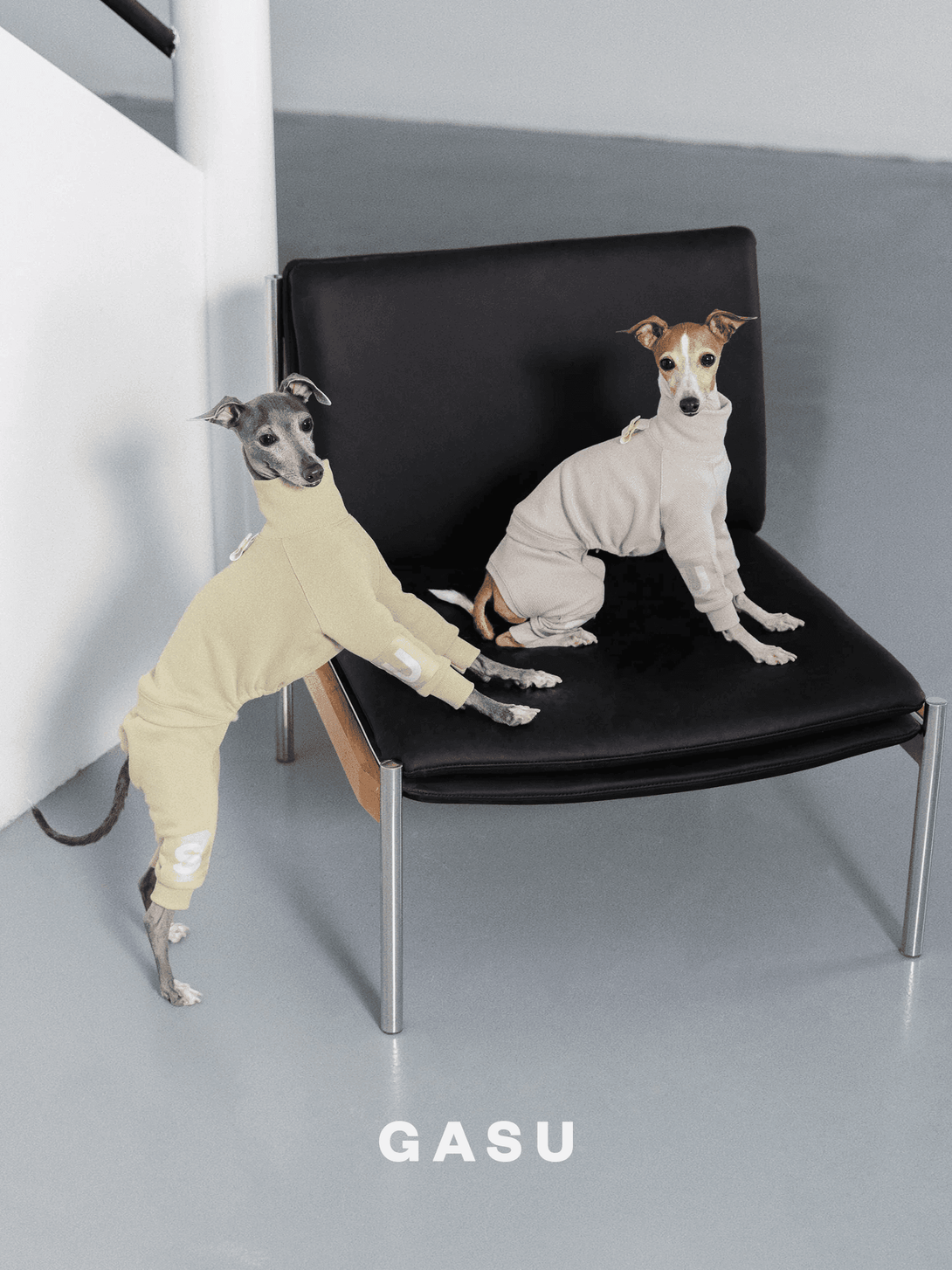 4-Leg Cotton Dog Jumpsuit