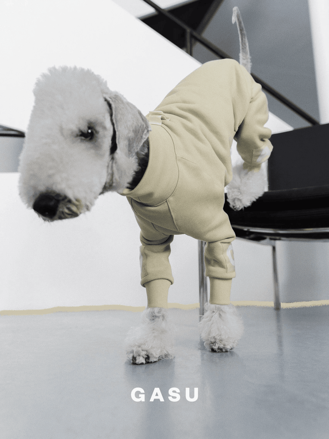 4-Leg Cotton Dog Jumpsuit