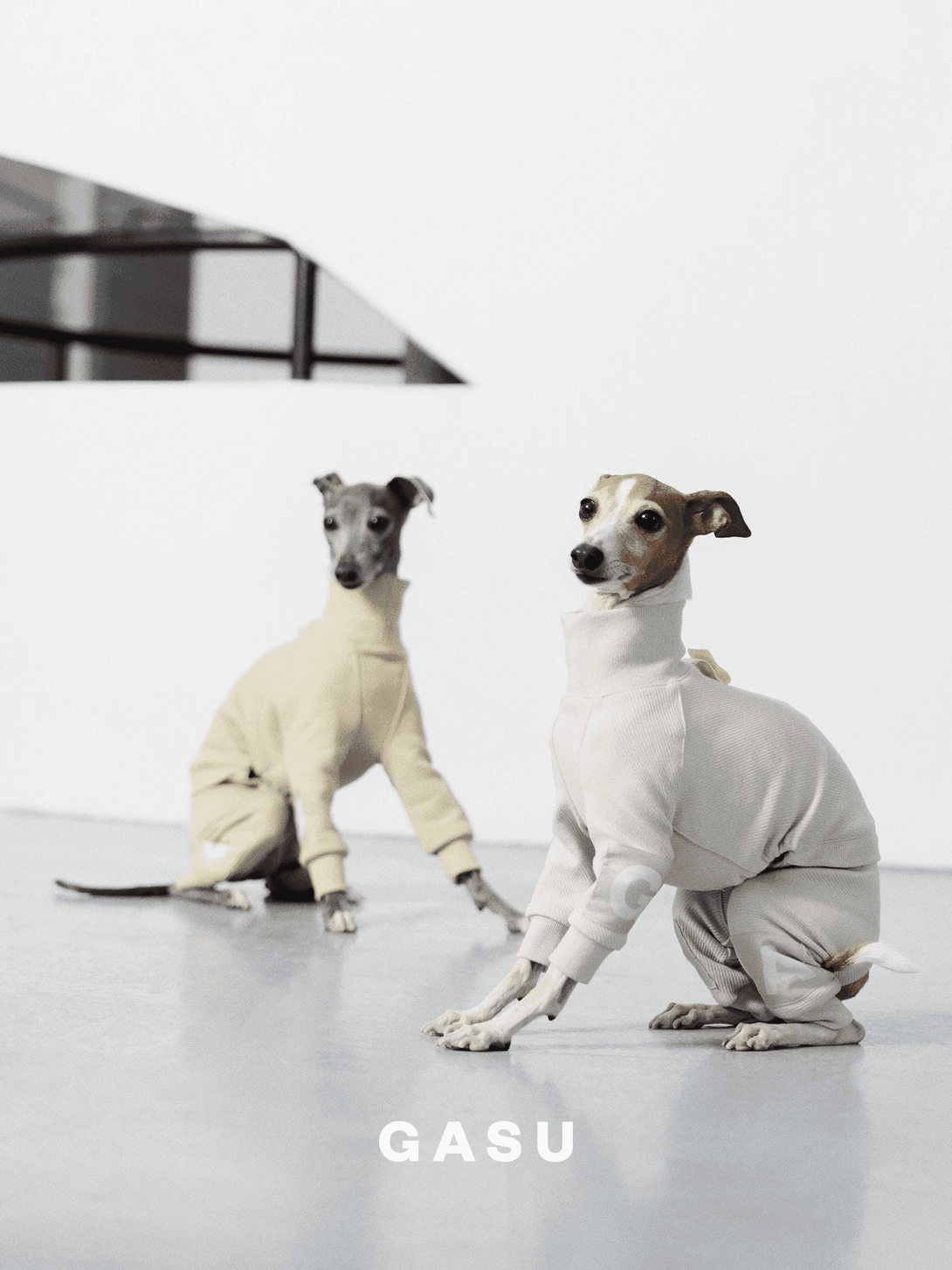 4-Leg Cotton Dog Jumpsuit