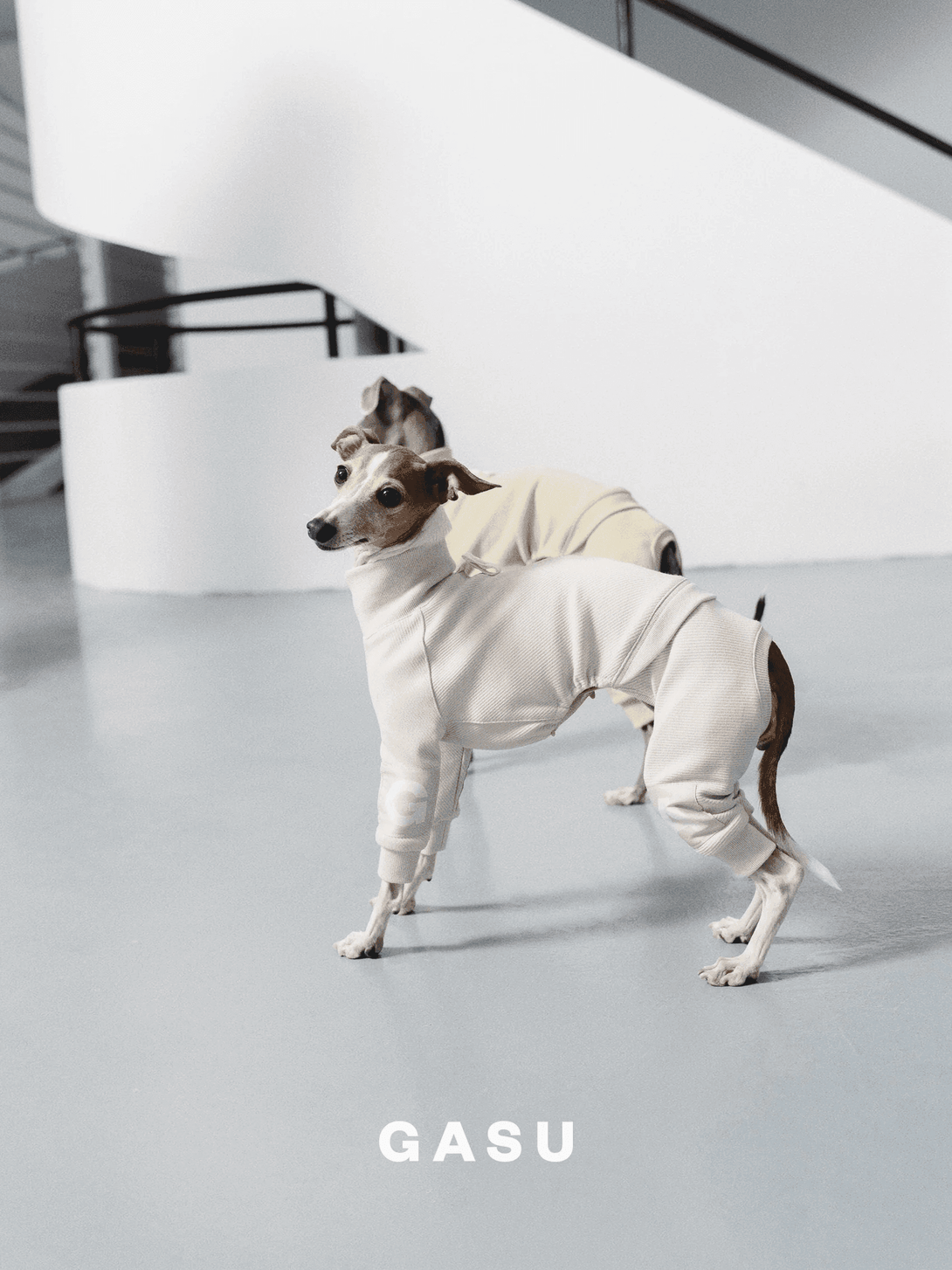 4-Leg Cotton Dog Jumpsuit