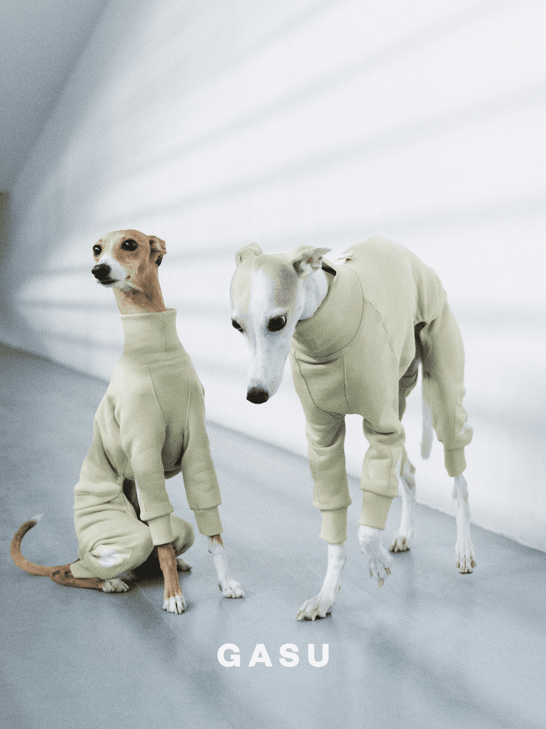 4-Leg Cotton Dog Jumpsuit