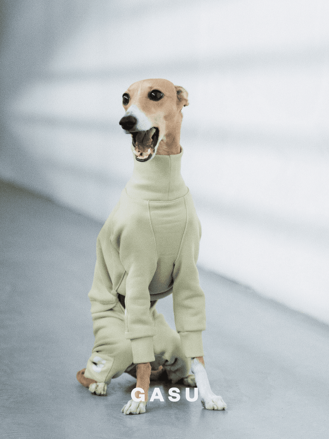 4-Leg Cotton Dog Jumpsuit