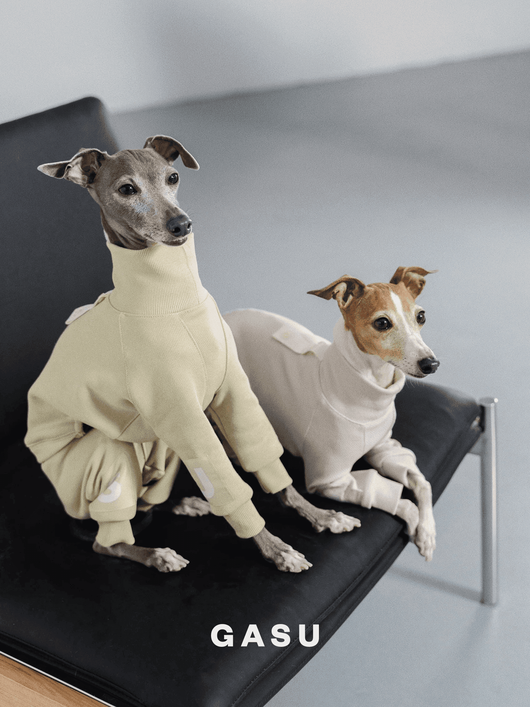 4-Leg Cotton Dog Jumpsuit