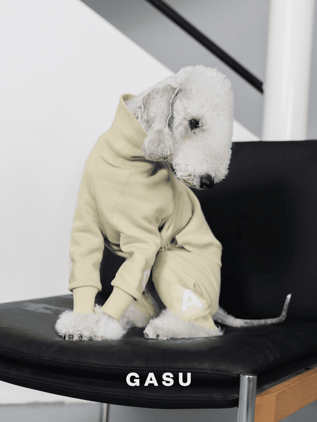 4-Leg Cotton Dog Jumpsuit