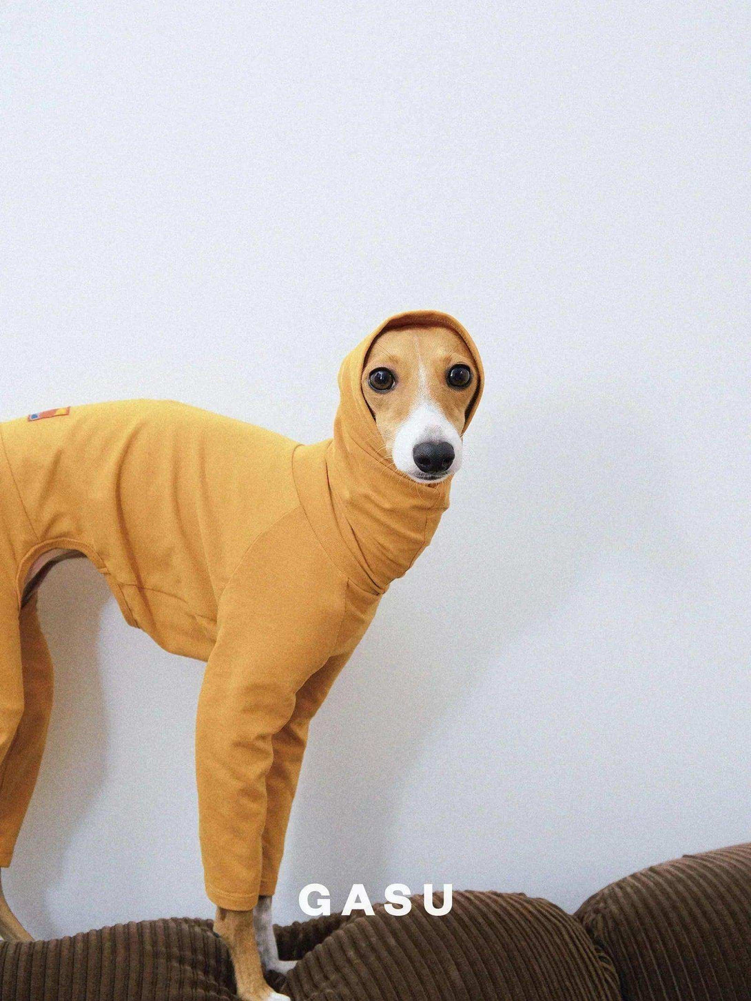 4-Leg Fit Cotton Dog Jumpsuit