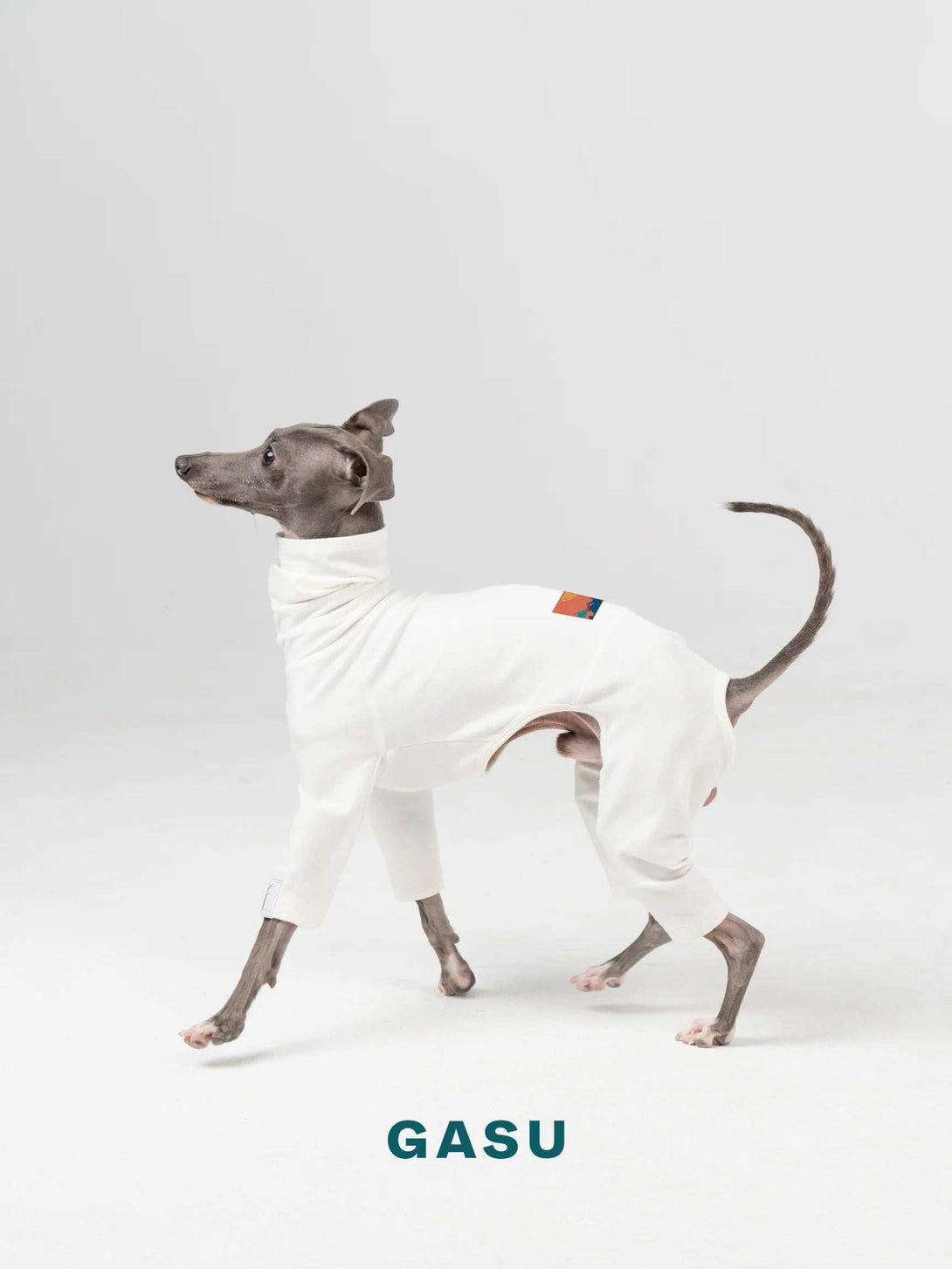 4-Leg Fit Cotton Dog Jumpsuit