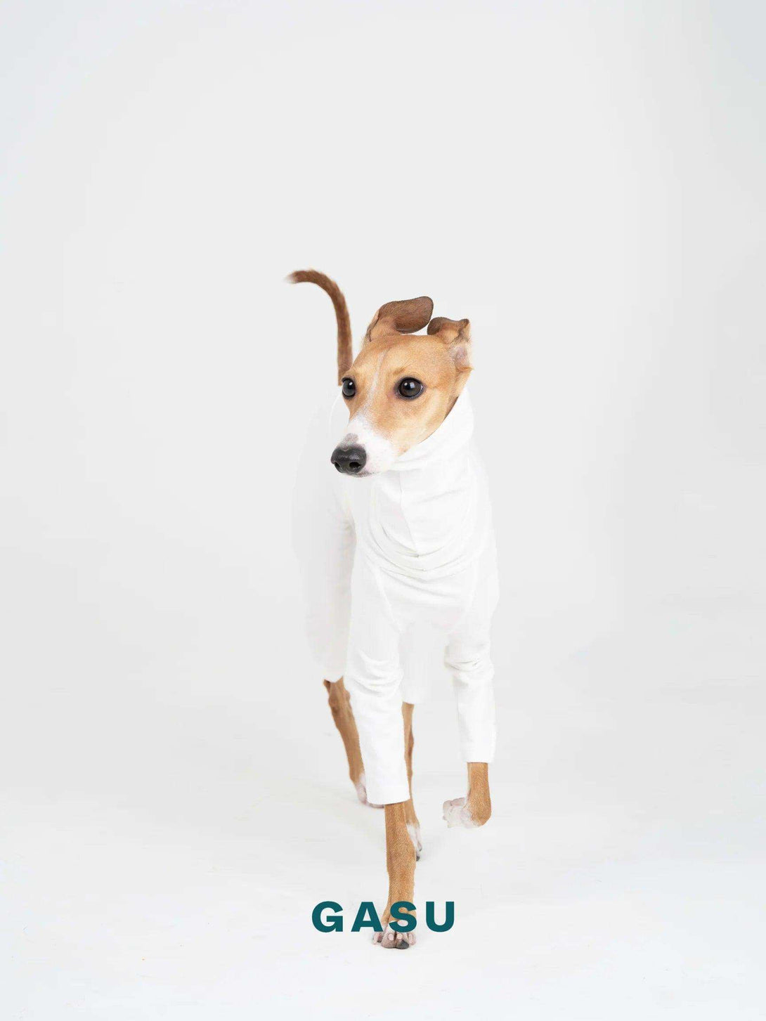 4-Leg Fit Cotton Dog Jumpsuit