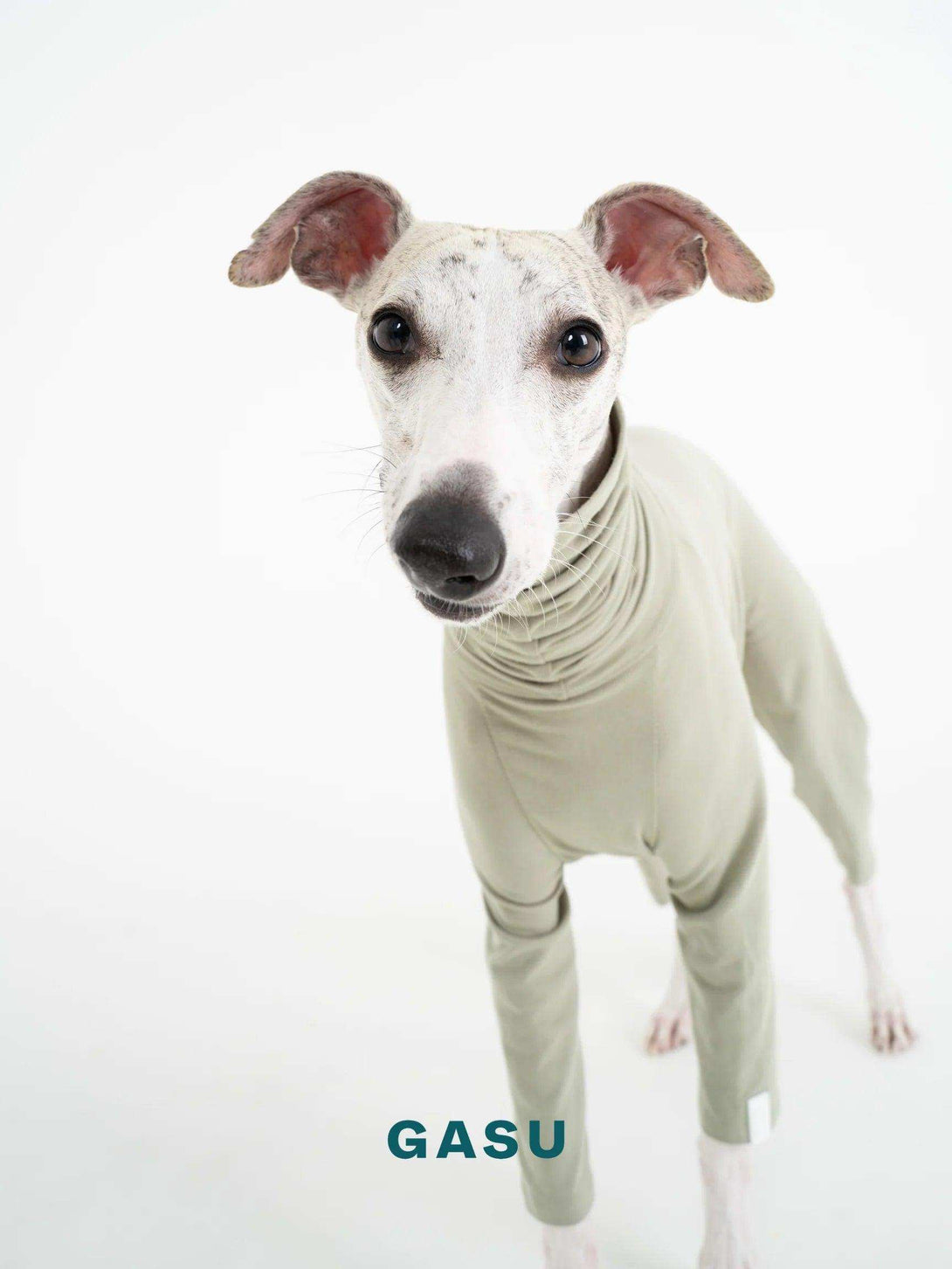 4-Leg Fit Cotton Dog Jumpsuit