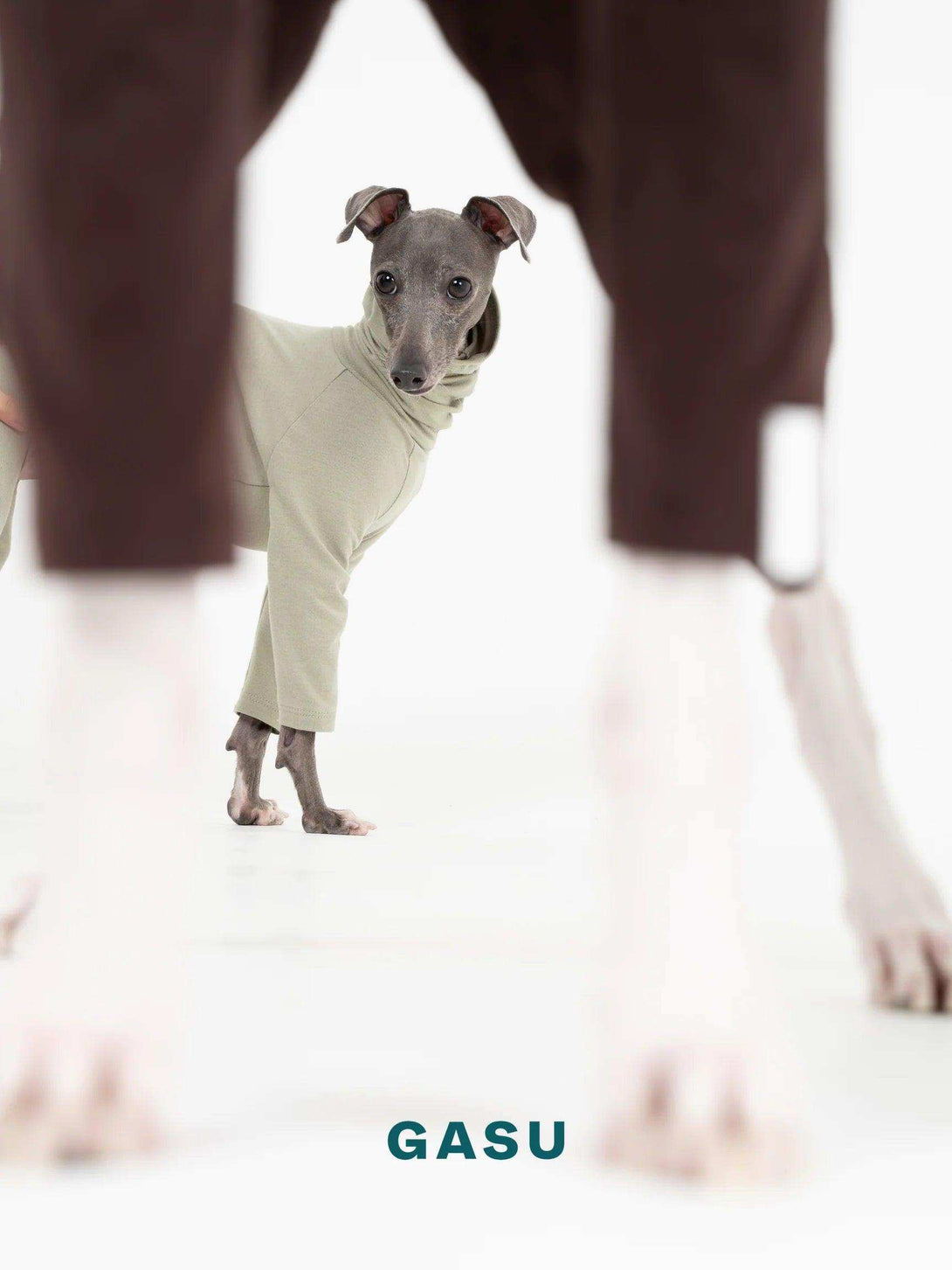 4-Leg Fit Cotton Dog Jumpsuit