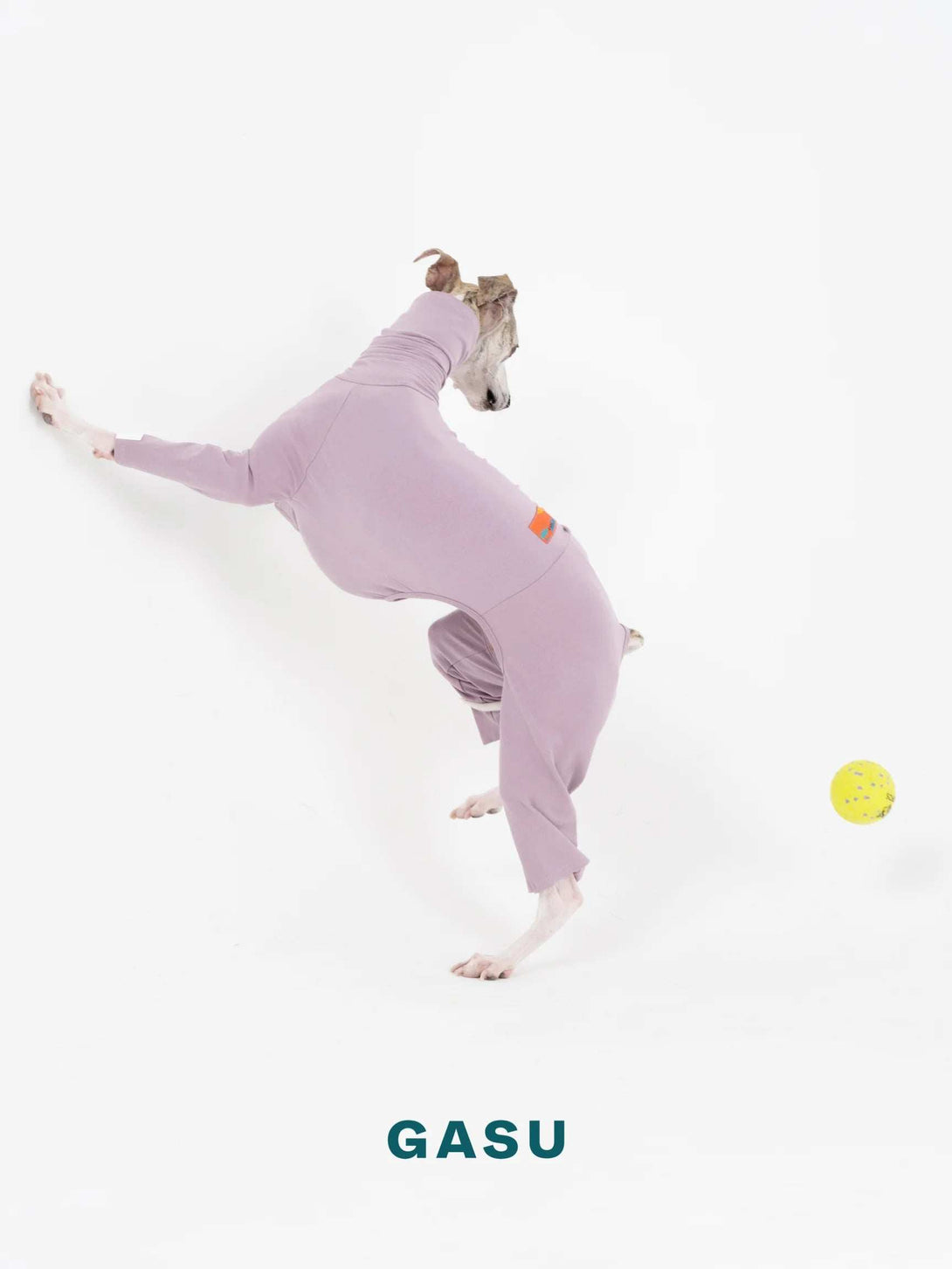 4-Leg Fit Cotton Dog Jumpsuit