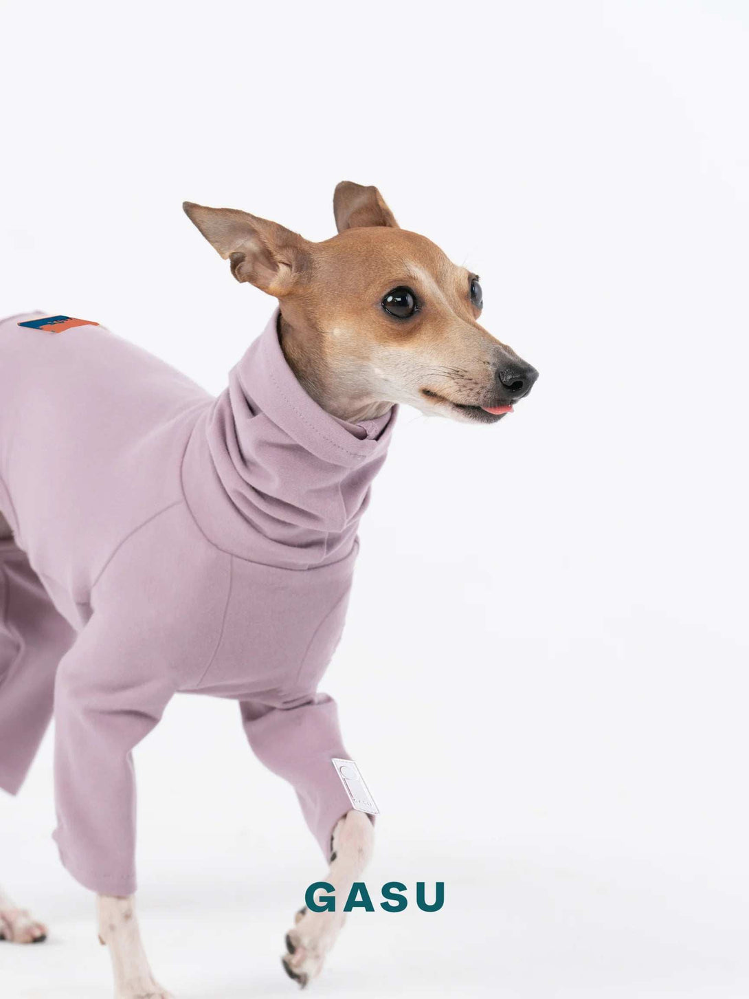 4-Leg Fit Cotton Dog Jumpsuit