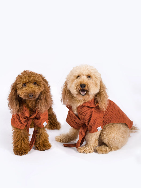 Waffle Cotton Dog Bathrobe | Mango