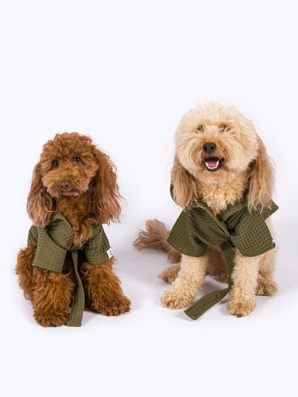 Waffle Cotton Dog Bathrobe | Matcha Latte