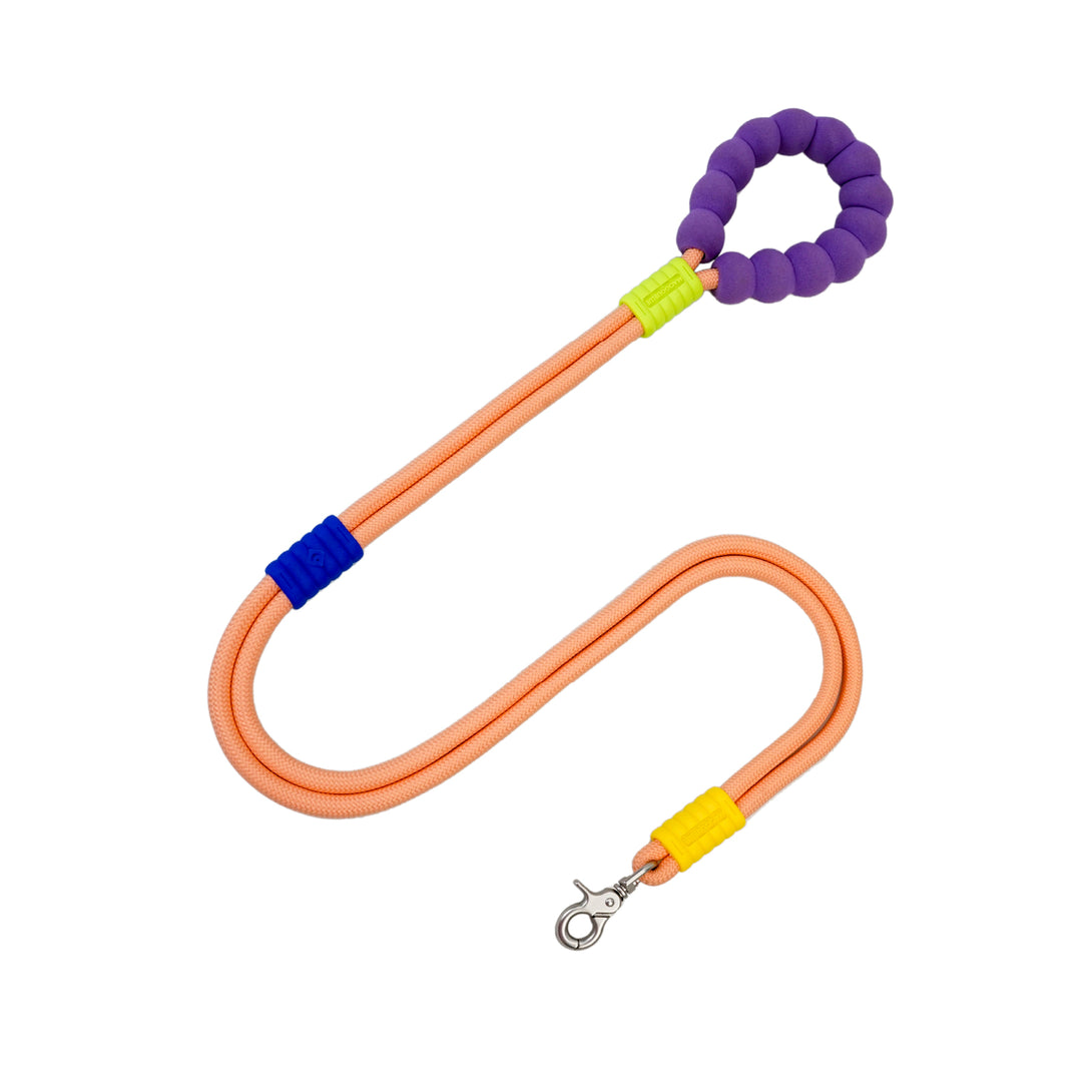 Marshmallow Multi-function Dog Leash - 2&4 PETS