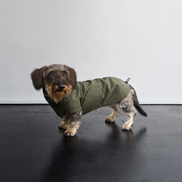 Dog Raincoat | Dublin 2.0 | Regular Fit