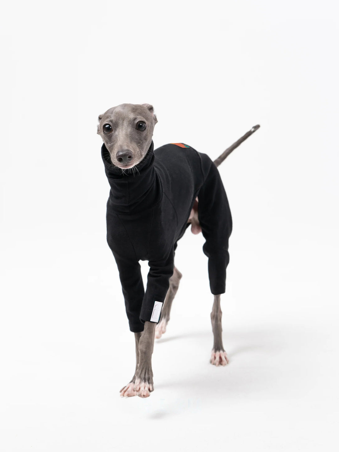 4-Leg Fit Cotton Dog Jumpsuit