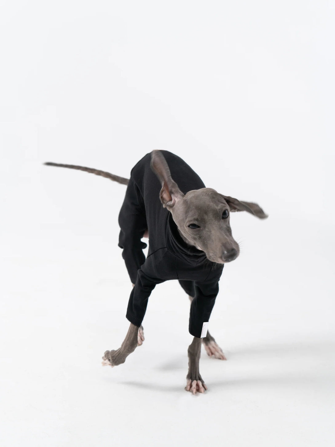 4-Leg Fit Cotton Dog Jumpsuit