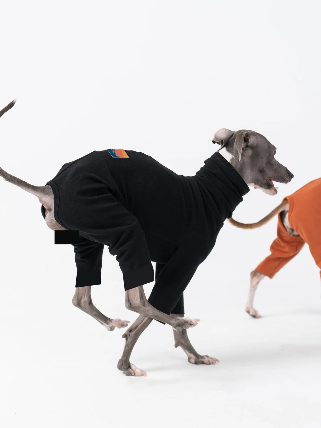 4-Leg Fit Cotton Dog Jumpsuit