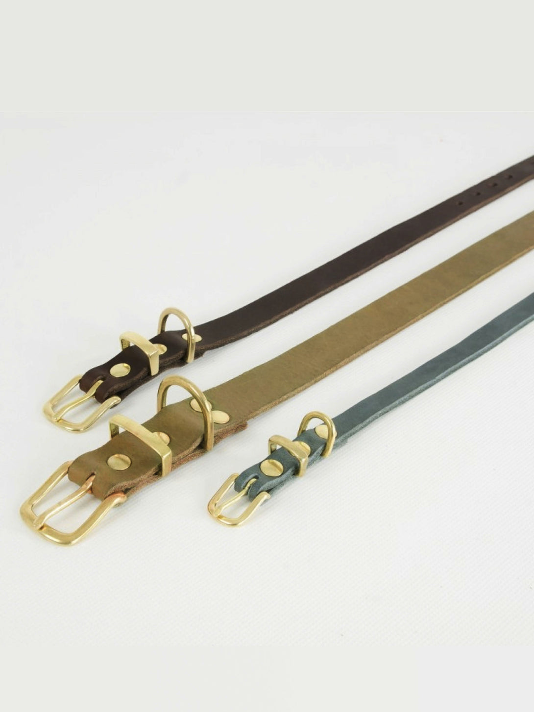 [OLIVE TREE] BUTTER LEATHER DOG COLLAR - 2&4 PETS PETS