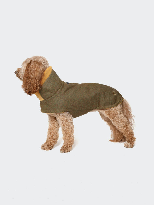 Dog Flannel Jacket | Brooklyn | Autumn Green