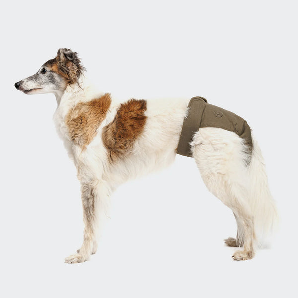 Reusable Dog Heat Panties | Olive