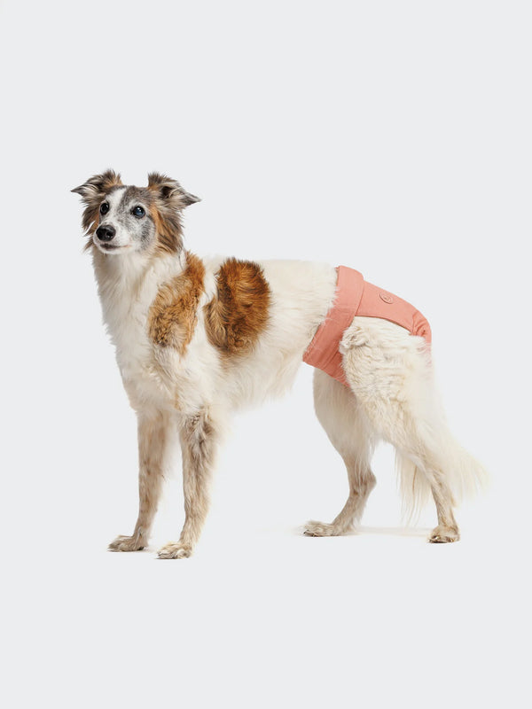 Reusable Dog Heat Panties | Rose