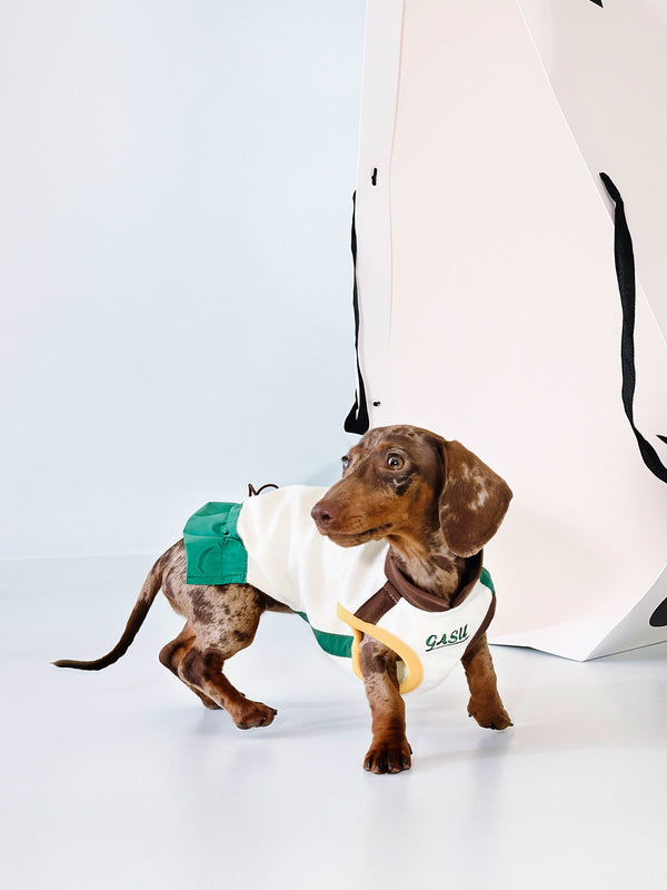 Convertible Dog Vest & Pleated Skirt | Rise Mist