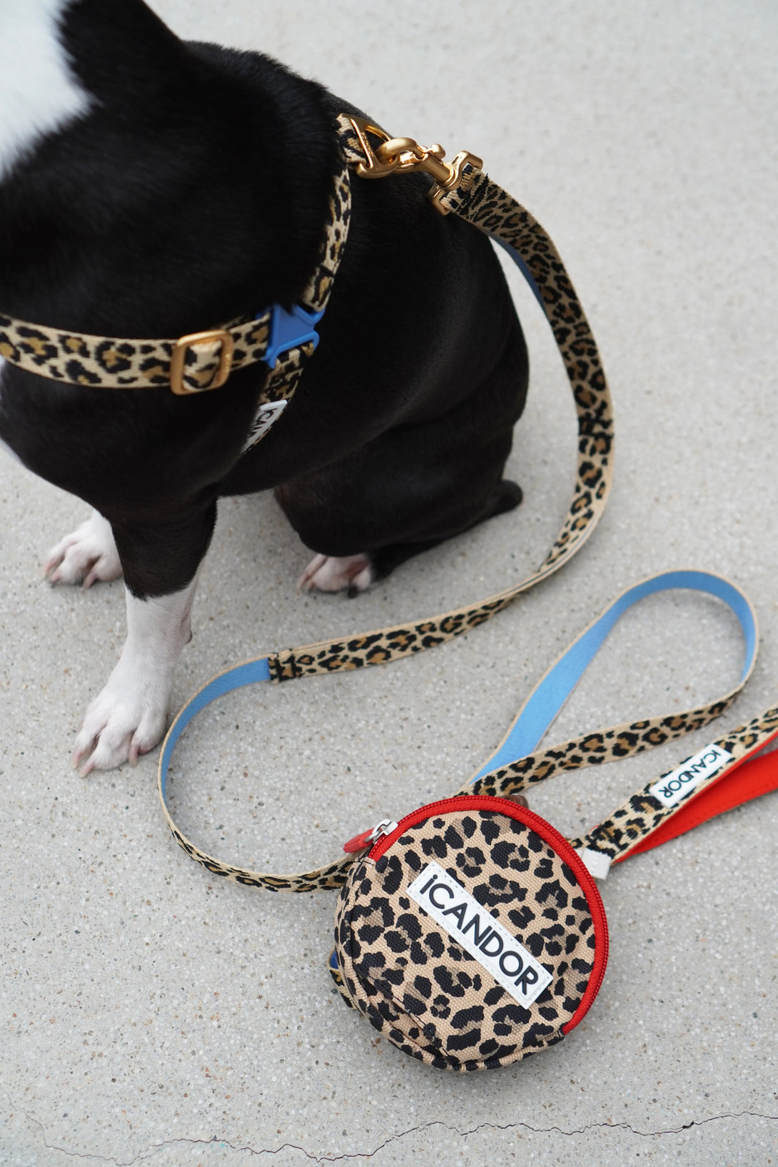No-Pull Dog Harness - Leopard - 2&4 PETS