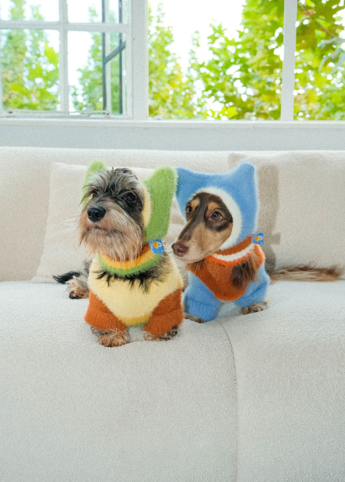Soft Snuggle Festive Tree Dog Pullover – 2&4 PETS