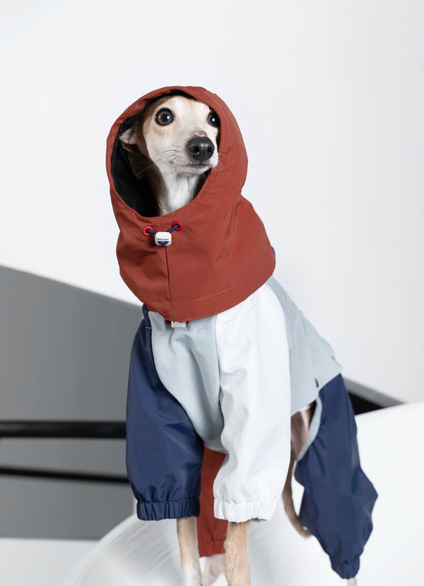 Detachable 4-Leg Dog Raincoat | Brick Blue