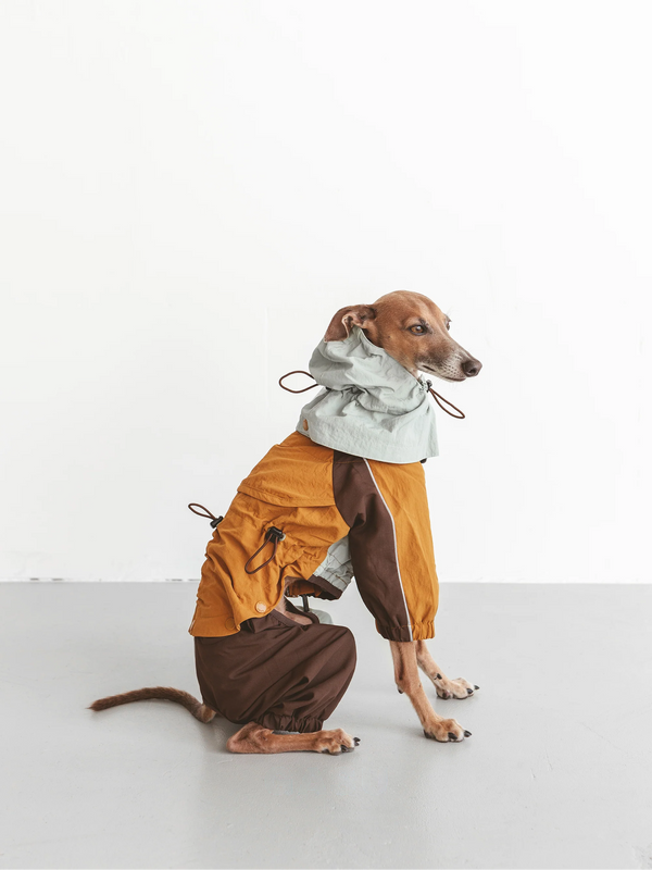 Detachable 4-Leg Dog Raincoat | Mint Toffee