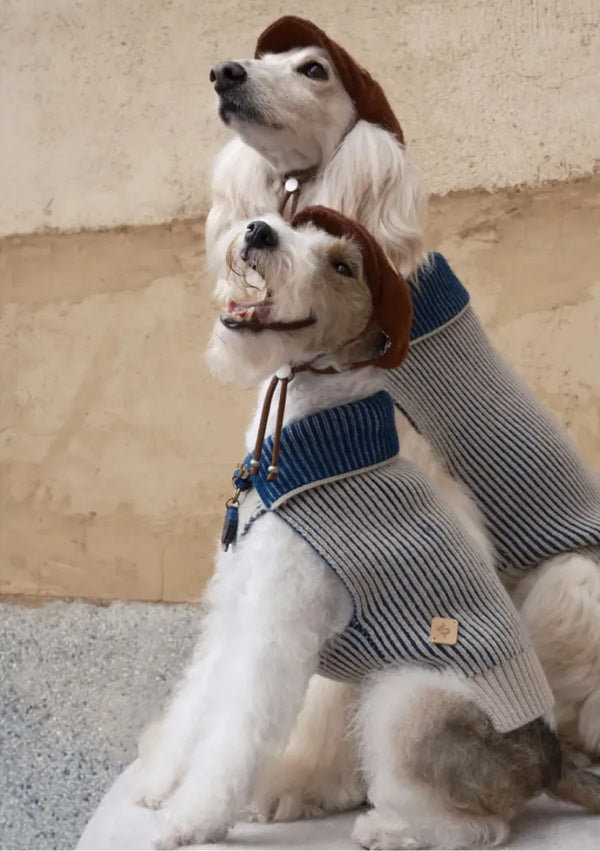 Double-sided Merino Wool Stripe Dog Jumper