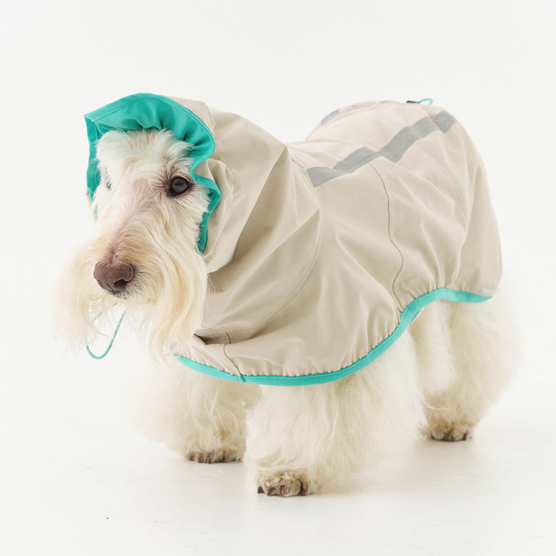 Full Coverage Reflective Dog Raincoat