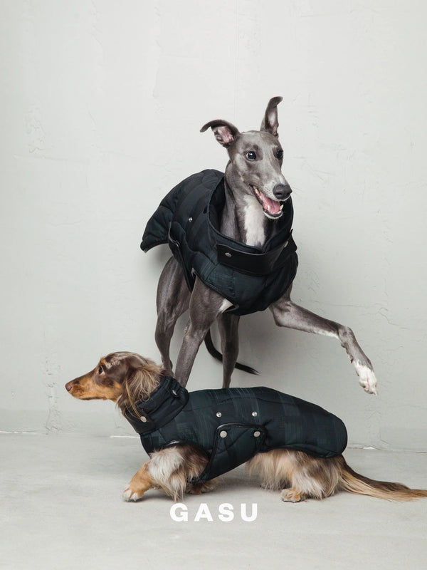 Antistatic Thermal Quilted Dog Vest - 2&4 PETS
