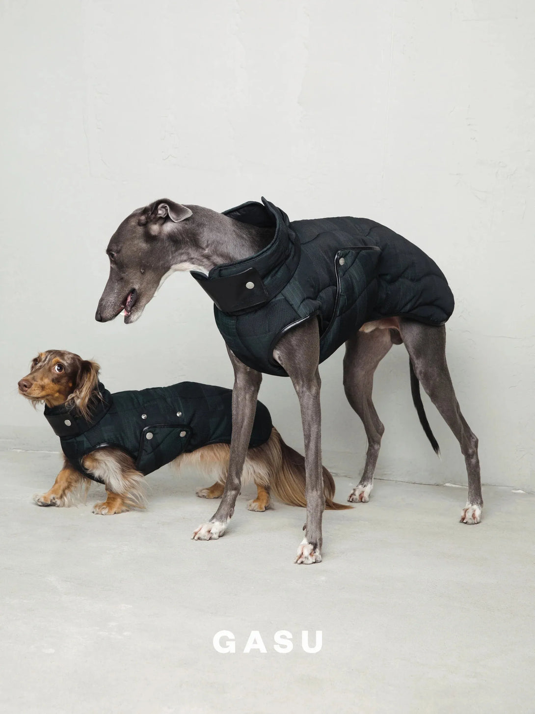 Antistatic Thermal Quilted Dog Vest - 2&4 PETS