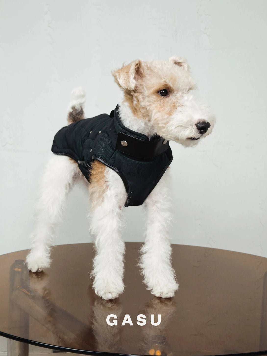 Antistatic Thermal Quilted Dog Vest - 2&4 PETS