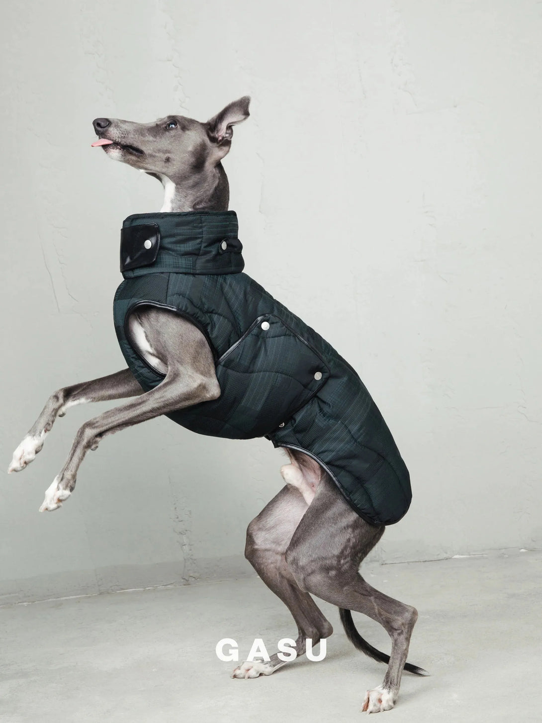 Antistatic Thermal Quilted Dog Vest - 2&4 PETS